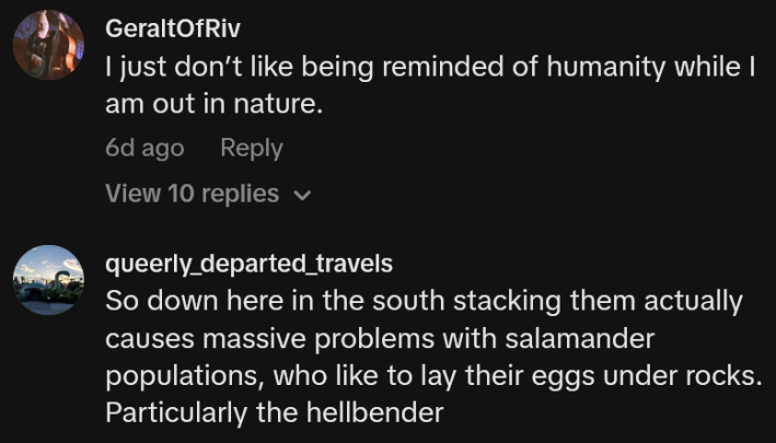 TikTok comments including one reading "So down here in the south stacking them actually causes massive problems with salamander populations, who like to lay their eggs under rocks. Particularly the hellbender"