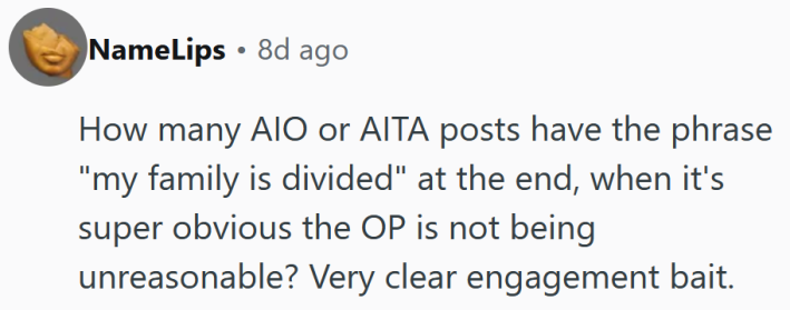 Reddit comment reading "How many AIO or AITA posts have the phrase 'my family is divided' at the end, when it's super obvious the OP is not being unreasonable? Very clear engagement bait."