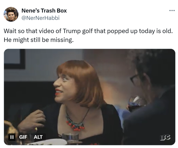 Tweet that reads, "Wait so that video of Trump golf that popped up today is old. He might still be missing." with a Fred Armisen Portlandia GIF.