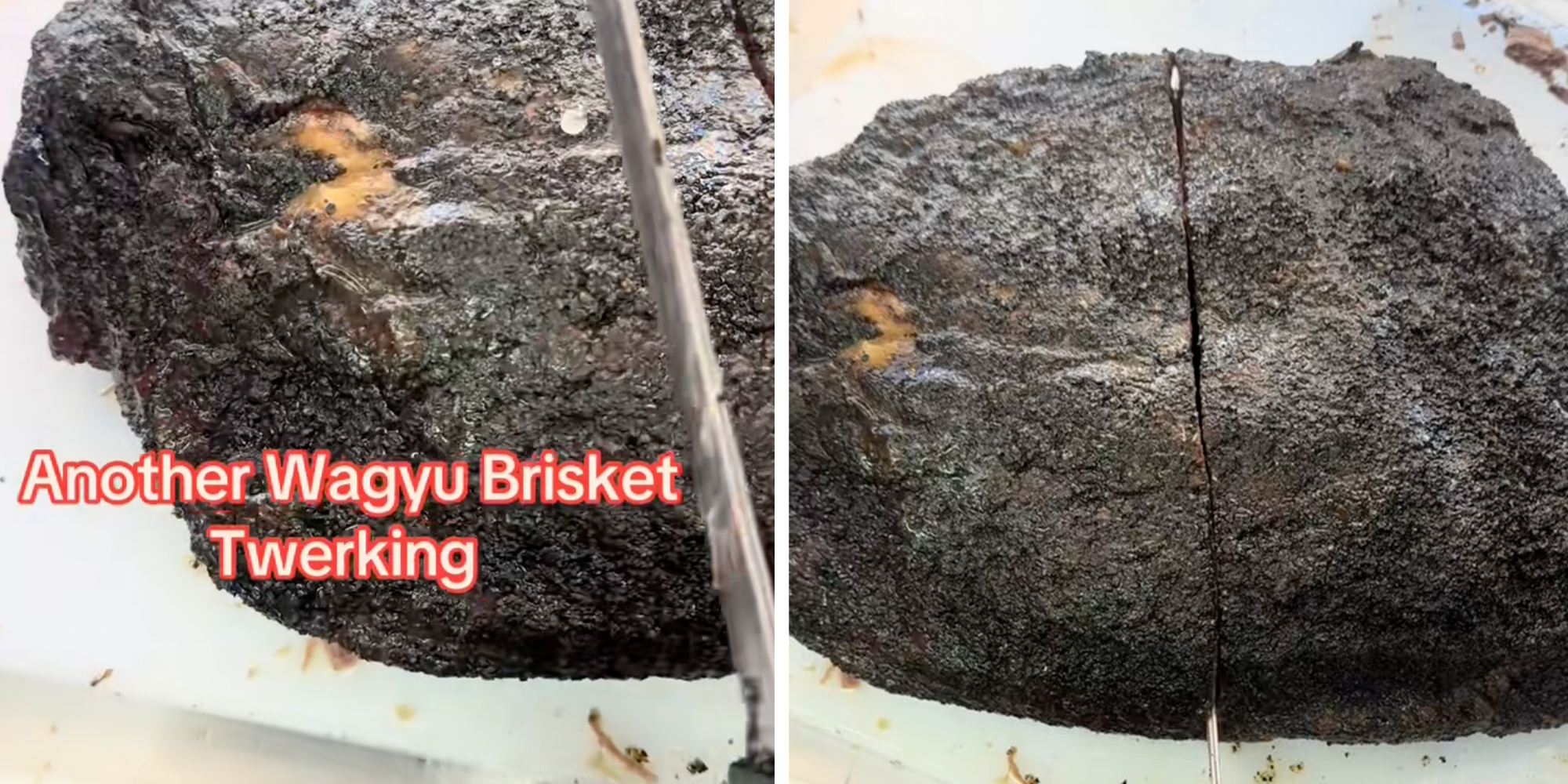 waygu beef twerking video