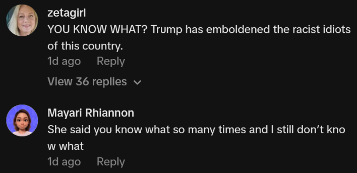 TikTok comments including one reading "YOU KNOW WHAT? Trump has emboldened the racist idiots of this country."
