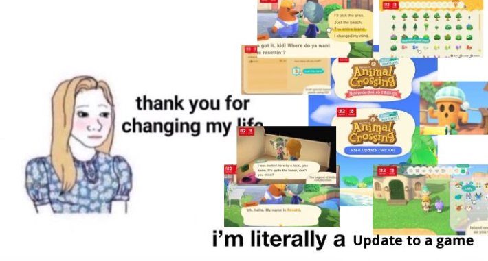 meme that reads, "thank you for changing my life/i'm literally a Update to a game."