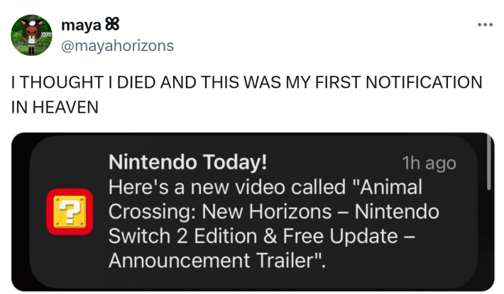 Tweet that reads, "I THOUGHT I DIED AND THIS WAS MY FIRST NOTIFICATION IN HEAVEN" with a popup update from Nintendo.