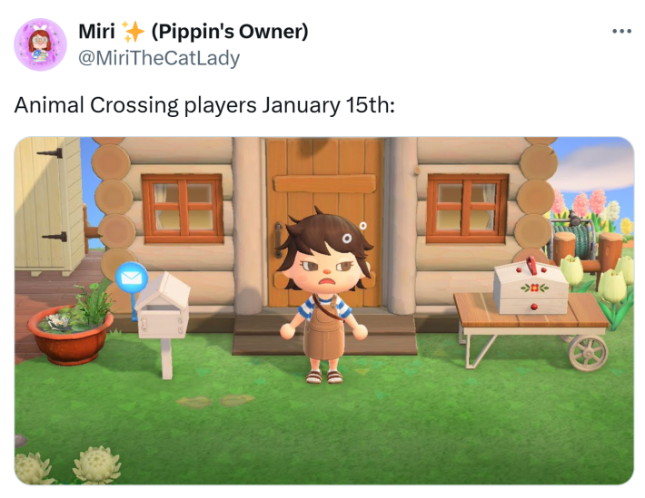 Tweet that reads, "Animal Crossing players January 15th:" with a screencap of a sleepy villager.