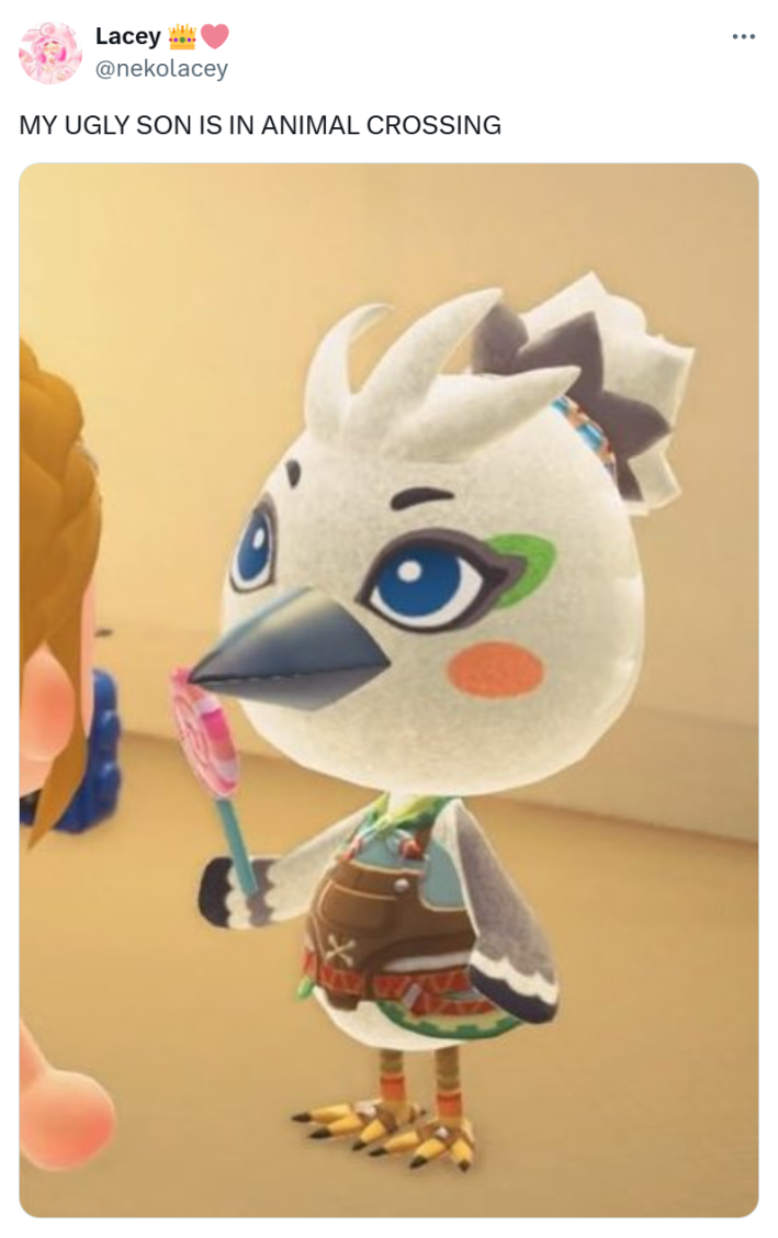 Tweet that reads, "MY UGLY SON IS IN ANIMAL CROSSING" with a screencap of a bird character.