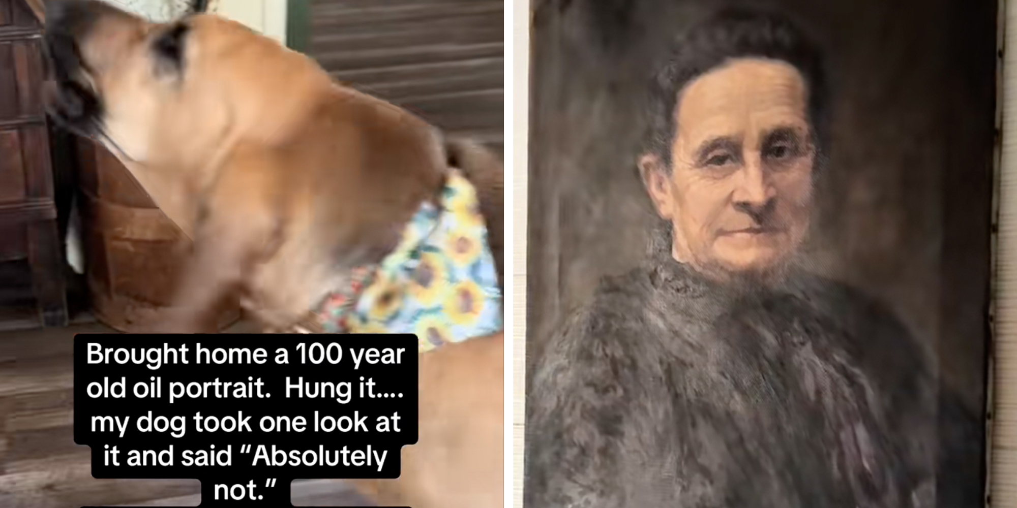Left: Barking hound dog, caption overlay reads, "Brought home a 100 year old oil portrait. Hung it... my dog took one look at it and said 'Absolutely not.'" Right: 100-year-old oil painting of a a woman dressed in black.