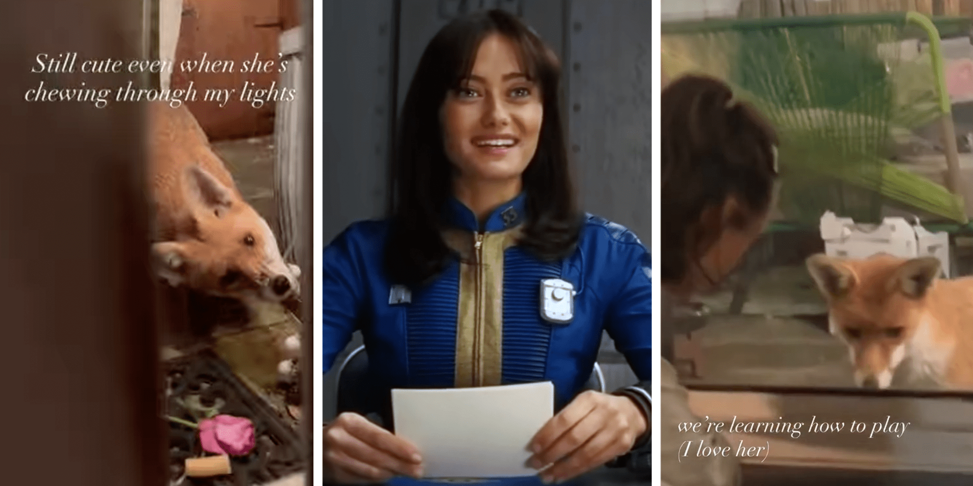 ella purnell domesticates fox