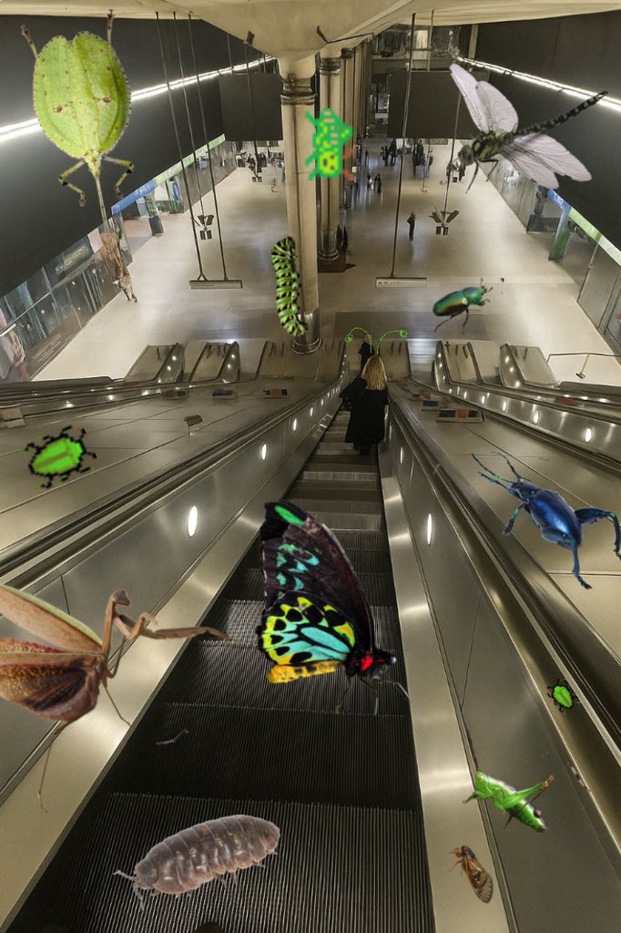 "How a mathematician sees the world" meme representing etymologists.