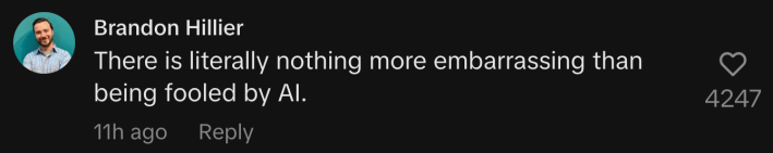 “There is literally nothing more embarrassing than being fooled by AI.”
