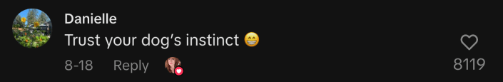 “Trust your dog’s instinct 😁.”