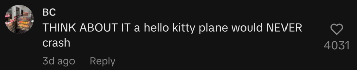 “THINK ABOUT IT a Hello Kitty plane would NEVER crash.”