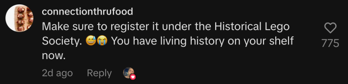 “Make sure to register it under the Historical Lego Society. 😅😭 You have living history on your shelf now.”