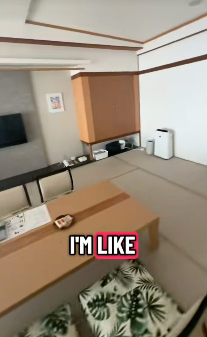 @somethingicanholdonto/TikToktour of traditional japanese hotel room - tatami room with onscreen text "i'm like"