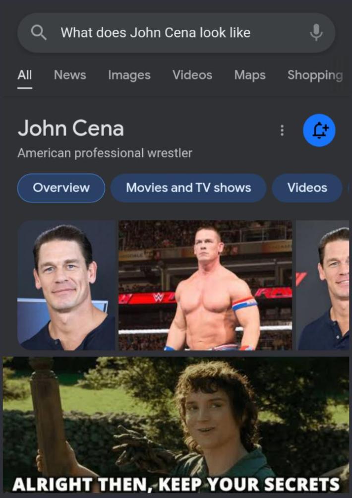 You can't see me meme of searching on google for what he looks like and Frodo saying "Alright then, keep your secrets."