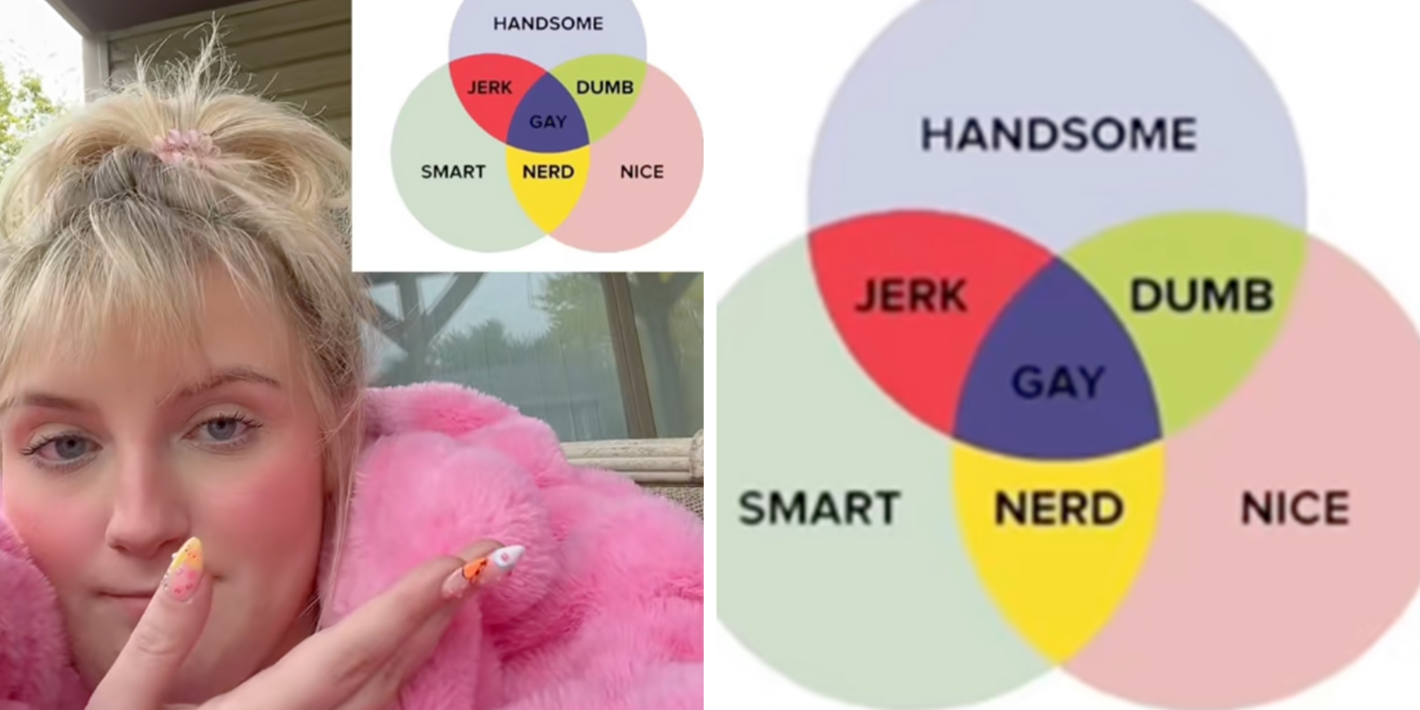 Left: Blonde woman in a pink jacket pointing to an overlay of the "Man diagram" she made. Right: Close-up of the "Man diagram," a Venn chart of three overlapping circles.