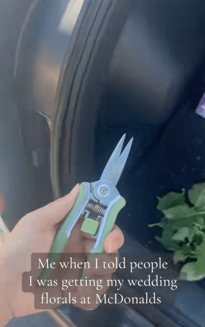 A hand holding small gardening shears outside of an open car trunk.