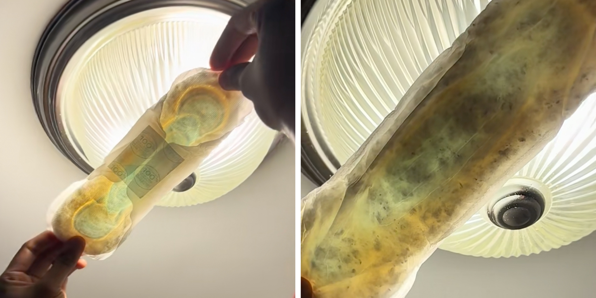 A sanitary pad held up against a light fixture, full of mold.