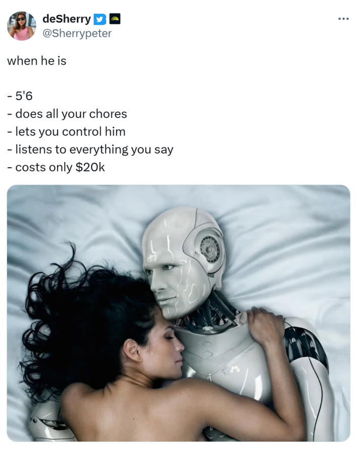 Tweet meme that reads, "when he is- 5'6- does all your chores- lets you control him- listens to everything you say- costs only $20k" with a photo of a woman lying in bed with a robot.