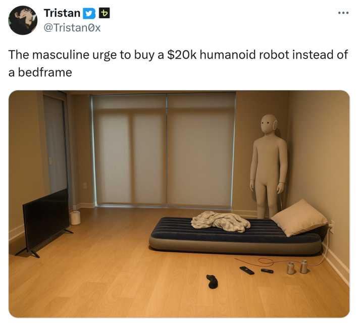 Tweet that reads, "The masculine urge to buy a $20k humanoid robot instead of a bedframe" with a photo of the NEO robot in the corner of a bedroom with a blow up mattress and no furniture.