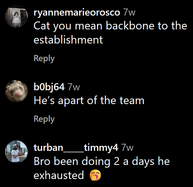 Instagram comments including one reading "Cat you mean backbone to the establishment"