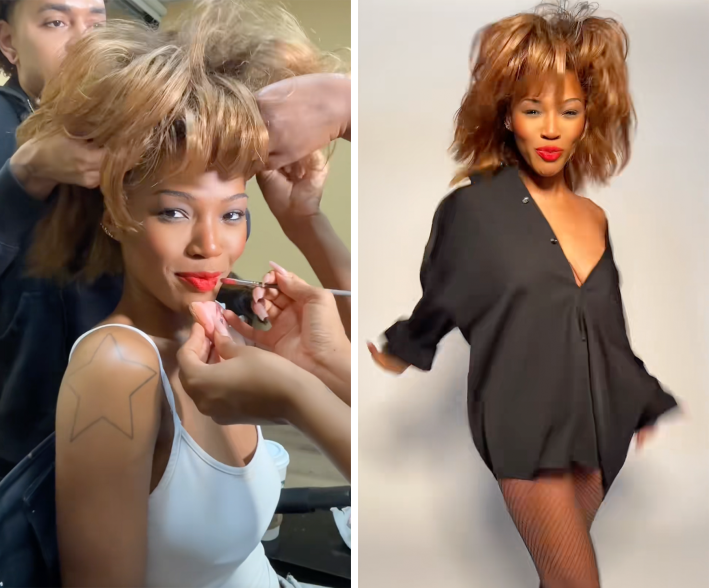 quenblackwell tina turner costume