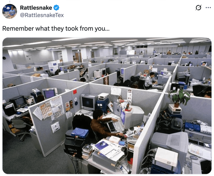 "Remember what they took from you…"