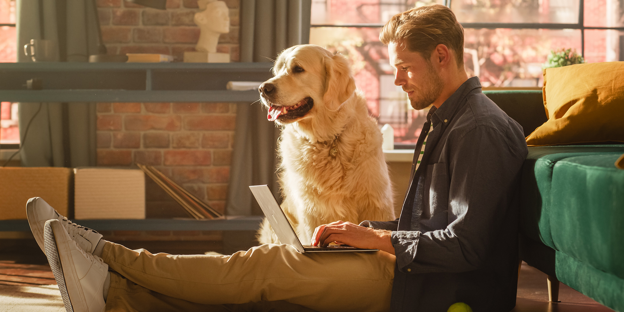 Portrait of a Handsome Young Adult Male Sitting on a Floor and Using Laptop Computer in Sunny Loft Living Room. Golden Retriever Dog Sitting Next to Him and Wanting to Play and Get Petted