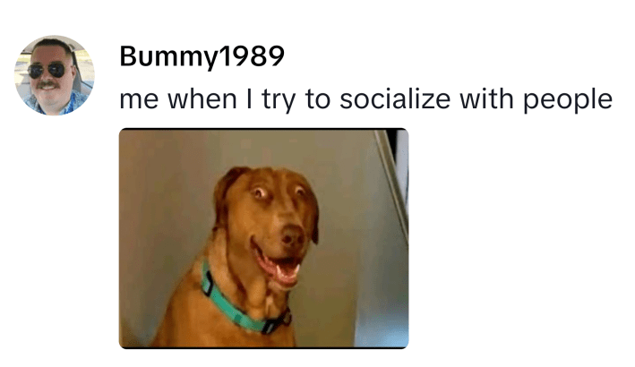 TikTok comment that reads, "me when I try to socialize with people." with a meme photo of Belle.