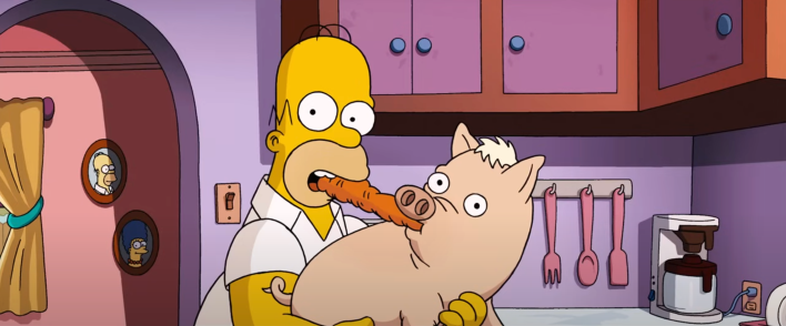 homer simpson and a pig