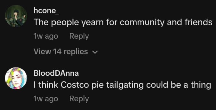 TikTok comments including one reading "The people yearn for community and friends"