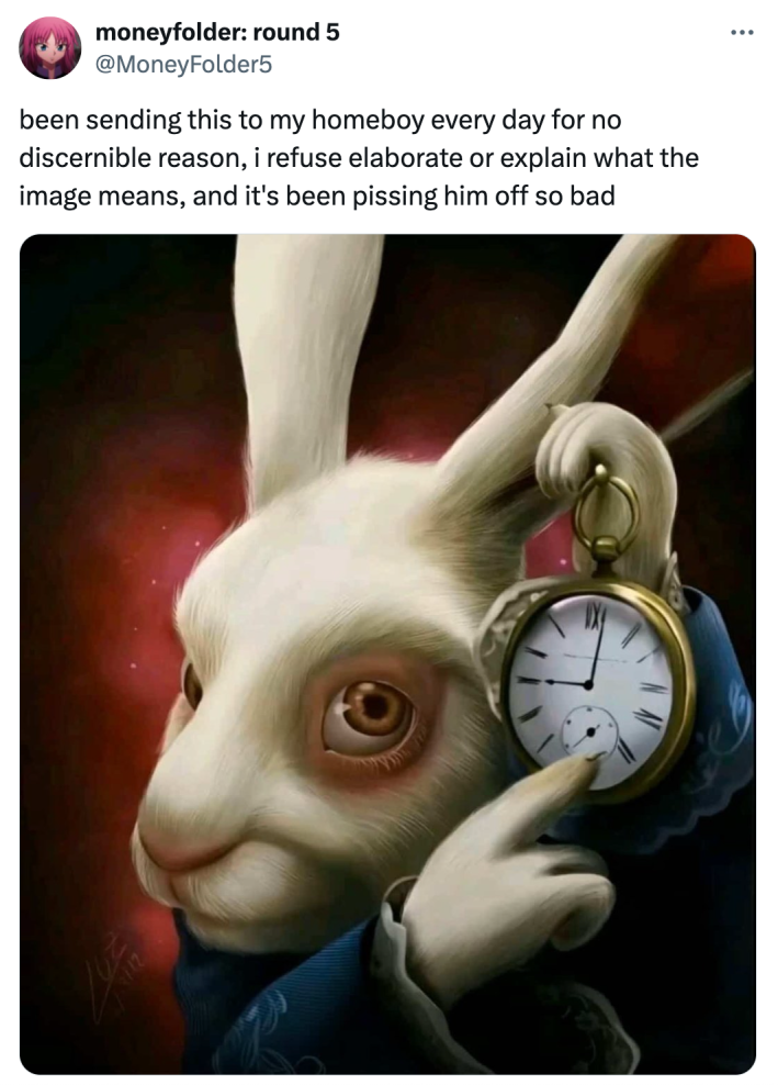White rabbit pointing at clock meme that reads, "been sending this to my homeboy every day for no discernible reason, i refuse elaborate or explain what the image means, and it's been pissing him off so bad"