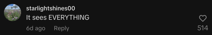 “It sees EVERYTHING.”
