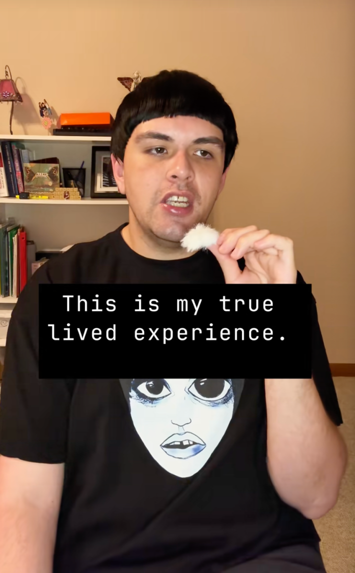 @anthonypsychosissurvivor/TikTok "This is my true lived experience."