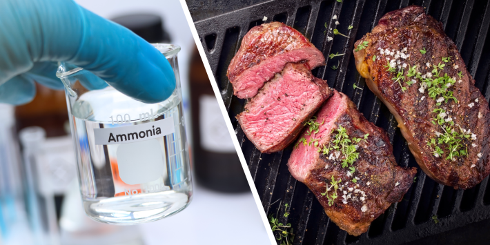 ammonia in beef