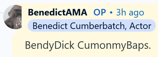 Benedict Cumberbatch AMA answer reading "BendyDick CumonmyBaps."