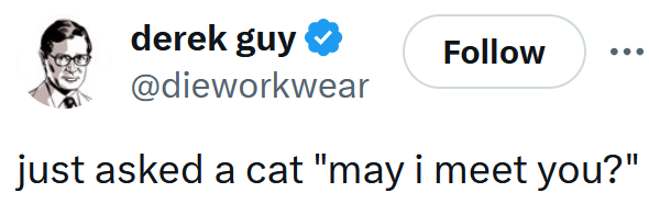 Tweet reading "just asked a cat 'may i meet you?'"
