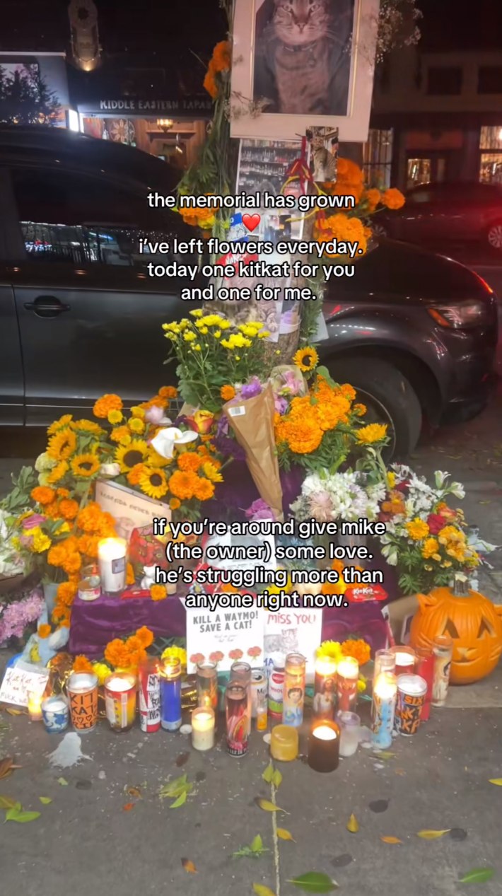 Memorial for KitKat, filled with candles and flowers.
