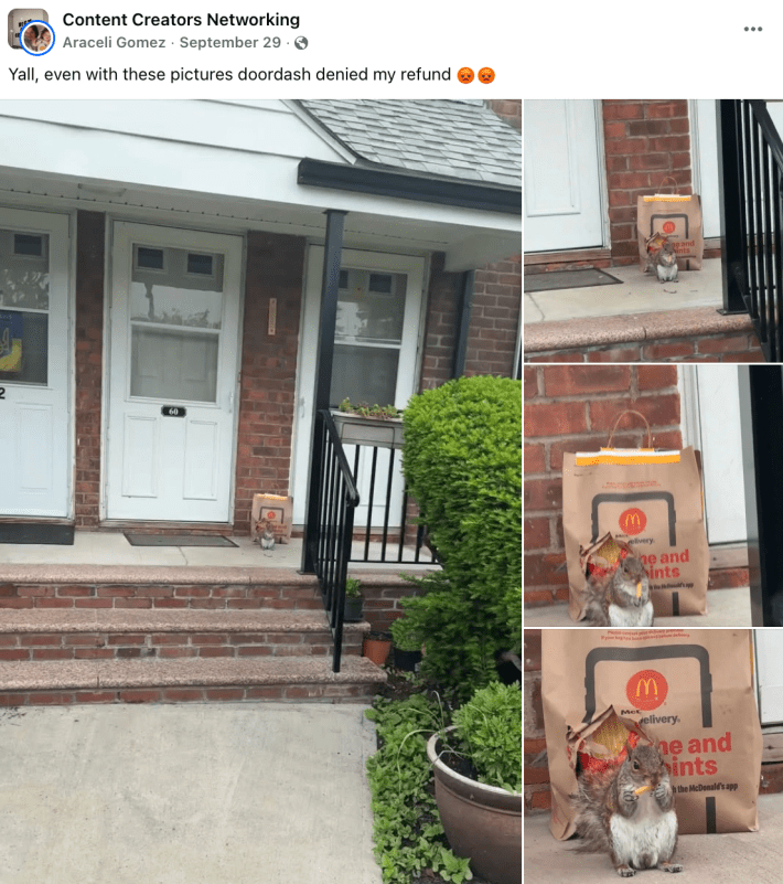 Facebook post that reads, "Yall, even with these pictures doordash denied my refund 😡😡" with four photos of a squirrel eating French fries while staring down the photographer.
