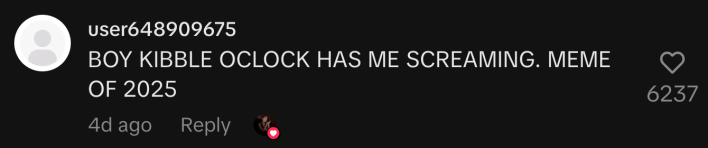 “BOY KIBBLE O'CLOCK HAS ME SCREAMING. MEME OF 2025.”