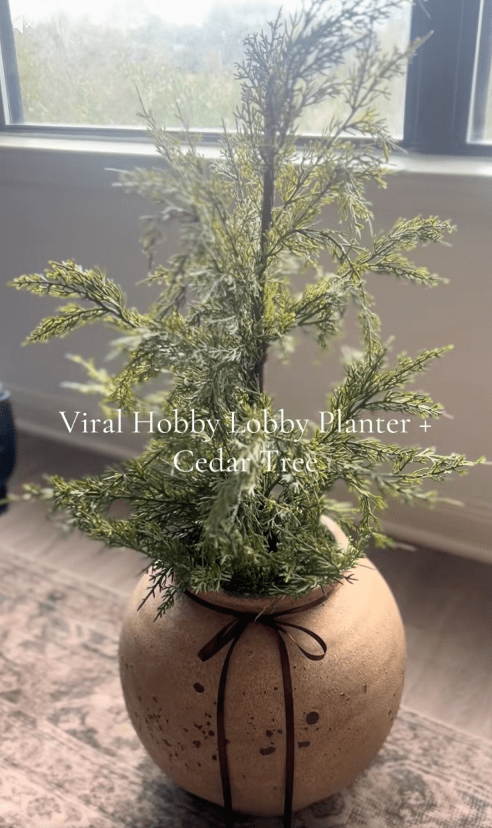 pot with a tree in it