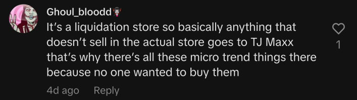 “It’s a liquidation store so basically anything that doesn’t sell in the actual store goes to TJ Maxx that’s why there’s all these micro trend things there because no one wanted to buy them.”