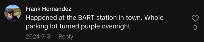 “Happened at the BART station in town. Whole parking lot turned purple overnight.”