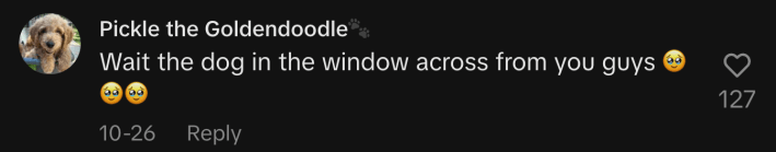 “Wait the dog in the window across from you guys 🥹🥹🥹.”