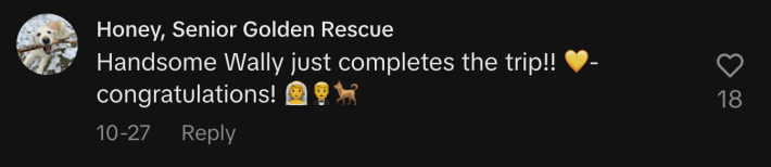 “Handsome Wally just completes the trip!! 💛- congratulations! 👰🤵‍♂️🐕”