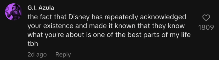 “the fact that Disney has repeatedly acknowledged your existence and made it known that they know what you're about is one of the best parts of my life tbh.”
