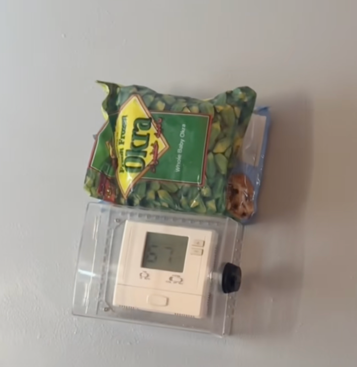 @flackoshahin/TikTok locked thermostat with frozen food on it at 67 degrees
