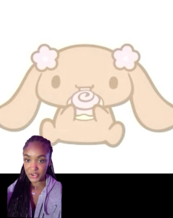 @youngboysforcess/TikTok Mocha Sanrio character