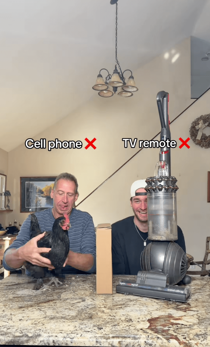 Father and son playing the lying game with a chicken and a vacuum cleaner.