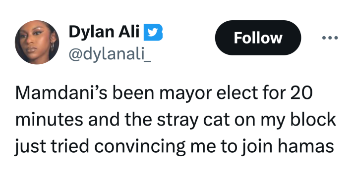 Tweet that reads, "Mamdani’s been mayor elect for 20 minutes and the stray cat on my block just tried convincing me to join hamas"
