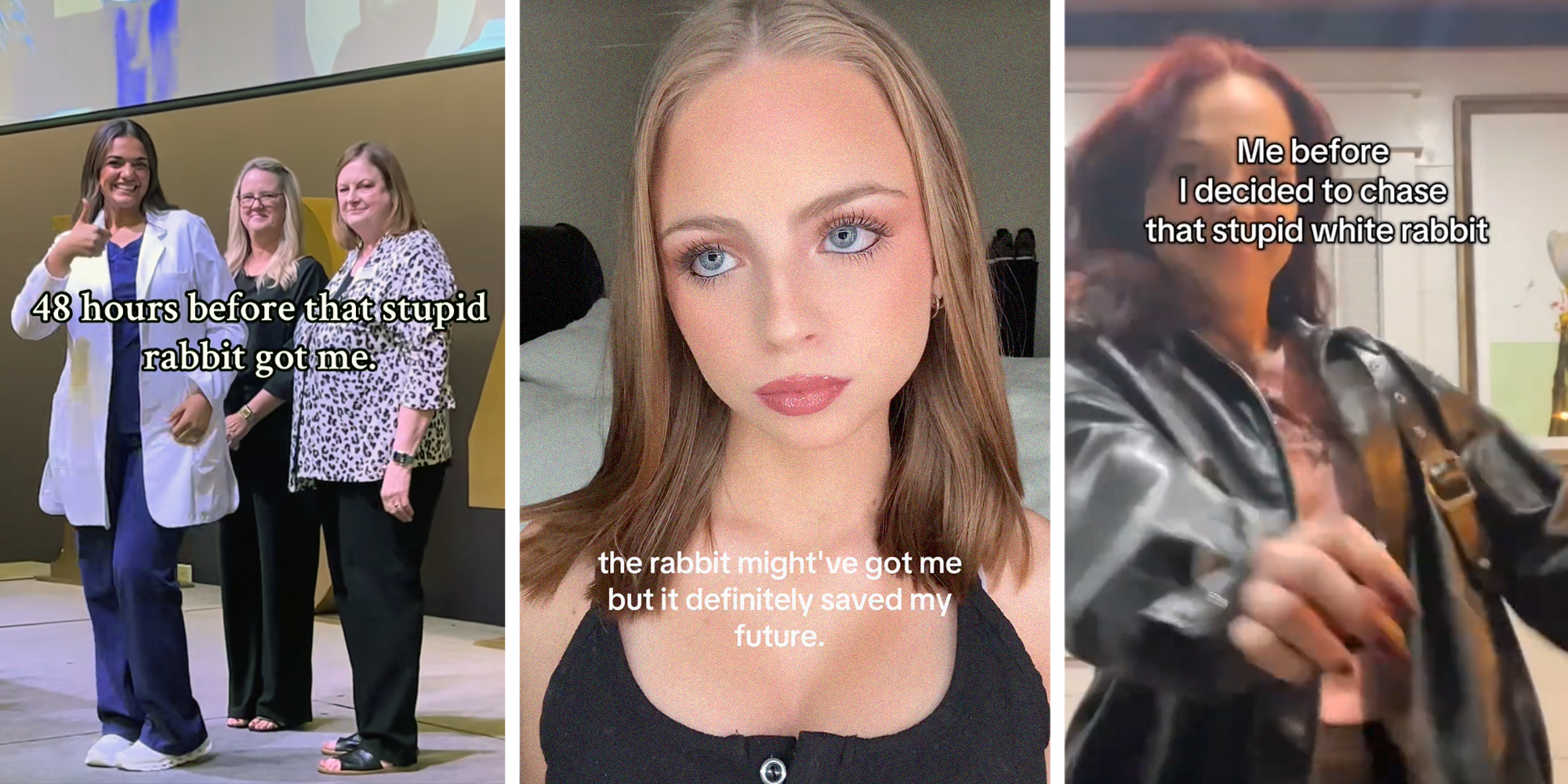 rabbit got me explained